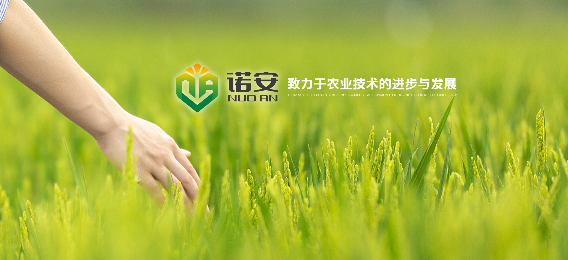 諾安生態肥業 諾安生態肥業